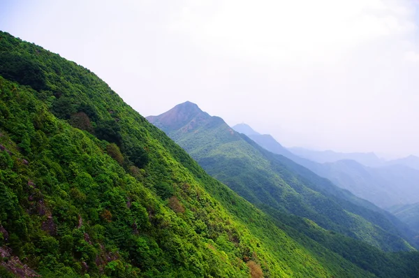 Высокая гора с зеленым деревом — стоковое фото
