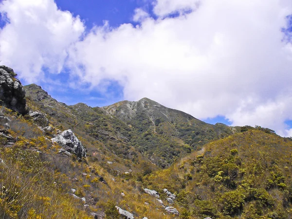 Top of mounain at summer — Stock Photo, Image