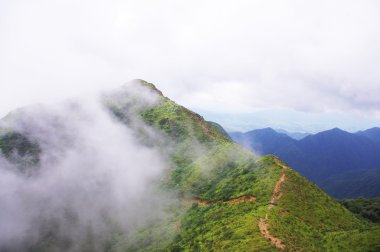 Cloud around the mountaintop