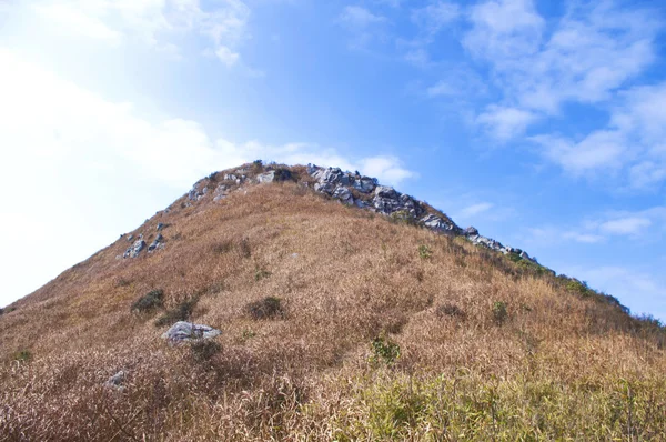 Bergtop met gele gras — Stockfoto
