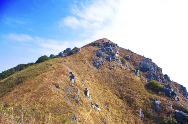 Vuoren huipulla keltainen ruoho — kuvapankkivalokuva