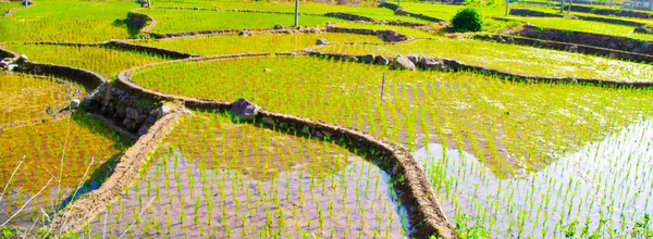 Bonitas terras agrícolas na China — Fotografia de Stock