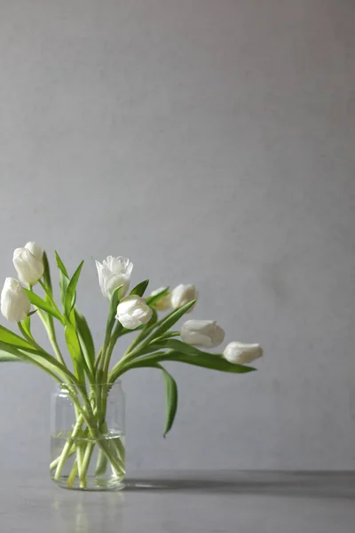 Un bouquet de tulipes blanches dans un vase isolé sur fond gris, mars, printemps. Espace de copie — Photo