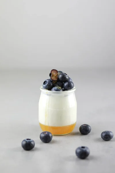 Panna cotta dolce fatta in casa italiana con gelatina di frutta, bacche blu fresche e miele su sfondo grigio. Copia spazio — Foto Stock