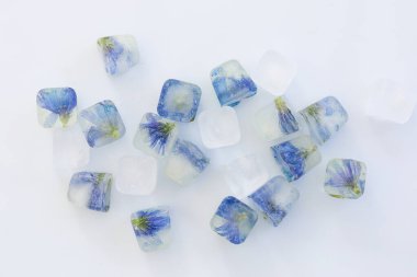 Buz küplerindeki donmuş çiçekler beyaz arkaplanda izole edilmiş.. 