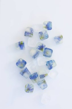 Buz küplerindeki donmuş çiçekler beyaz arkaplanda izole edilmiş.. 