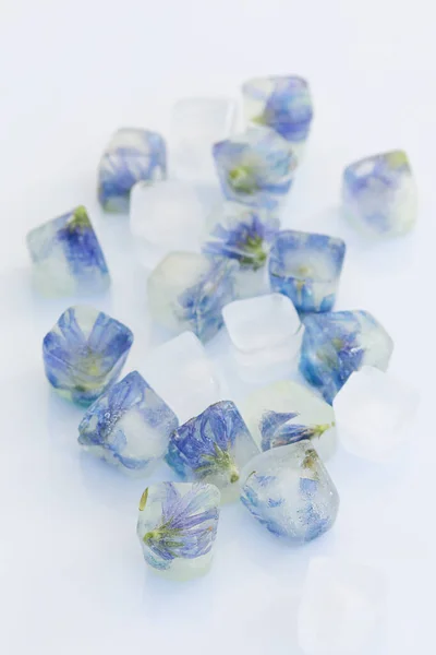Gefrorene Blumen Eiswürfeln Isoliert Auf Weißem Hintergrund — Stockfoto