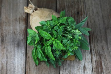 Biberiyeli taze bitki buketi, kekik, nane, adaçayı ve farklı türde fesleğen. Bir bukete iple bağlanmış sebzeler ve filizler. Ahşap dokularda çekiliyor..