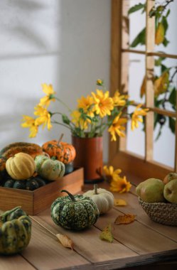 Composition of little pumpkins and bouquet of yellow flowers on wooden background. clipart