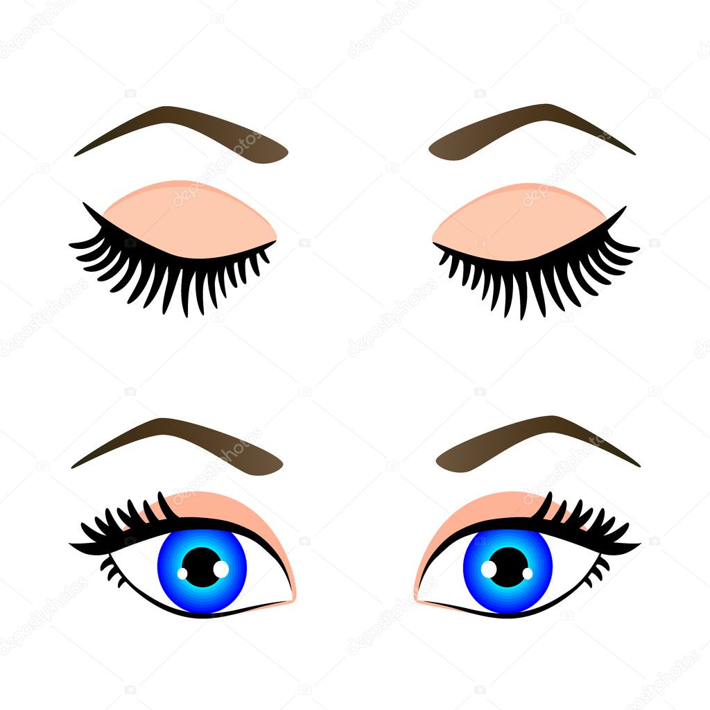 Silhouette of blue eyes and eyebrow open and closed, vector illustration