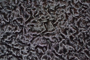 closeup karakul kürk doku arka planı için