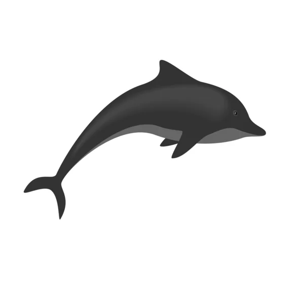 Delfín aislado sobre fondo blanco, ilustración vectorial — Vector de stock