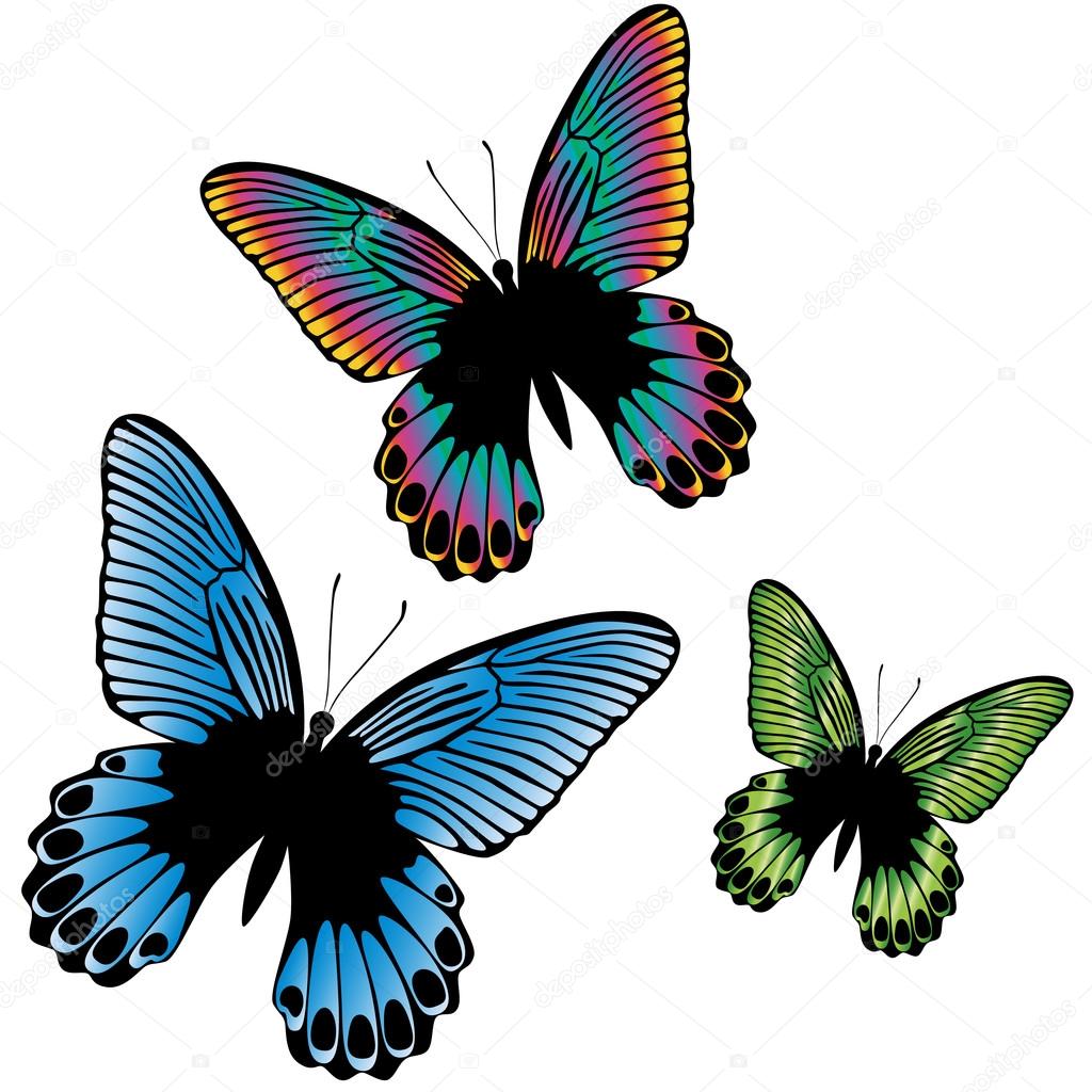Set of a three colorful tropical butterfly isolated on a white background, vector illustration