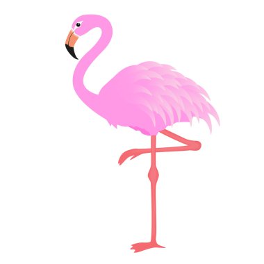 Flamingo vector clipart
