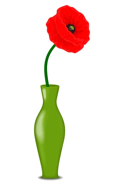 One red poppy flower in a vase — Stock Vector