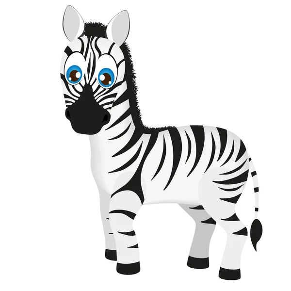Desenho animado bonito da zebra do bebê, ilustração vetorial — Vetor de Stock