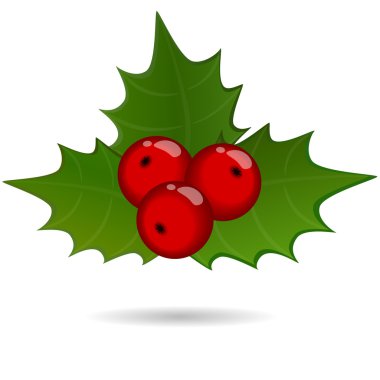 Holly berry delikanlı, Noel simgesi