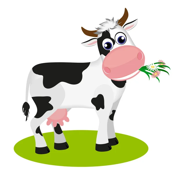 Schattig zwart en wit cow eten daisy, geïsoleerd op witte vectorillustratie. — Stockvector