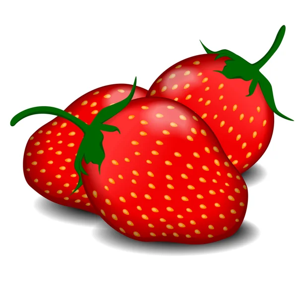 Tres jugosas fresas aisladas en blanco, ilustración vectorial — Vector de stock