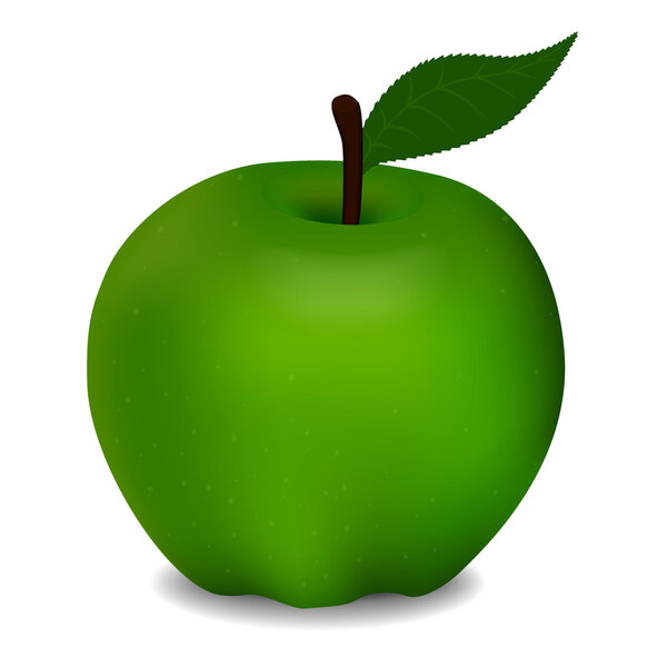 Vector illustration of delicious green apple