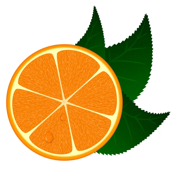 Ilustración vectorial de naranja fresca — Vector de stock