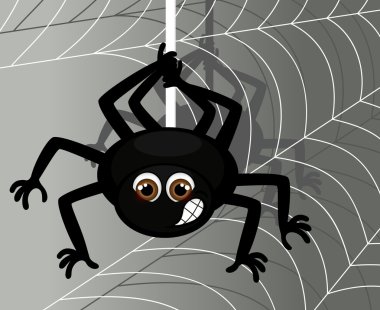 Örümcek ve Web 'in Vektör İllüstrasyonu