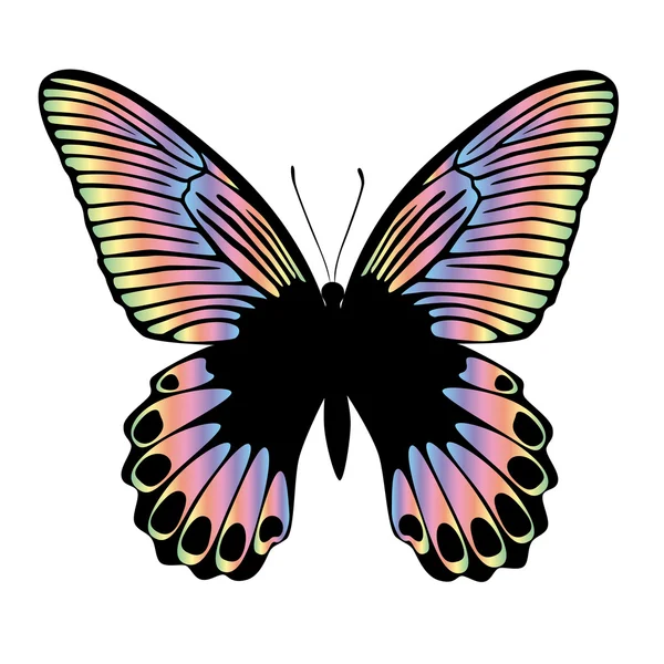 Beautiful colorful butterfly on white background — Stock Vector