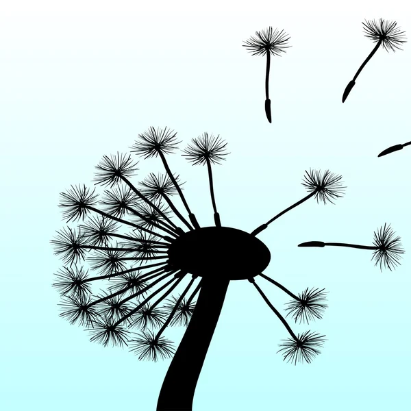 Blow Dandelion — Stock Vector