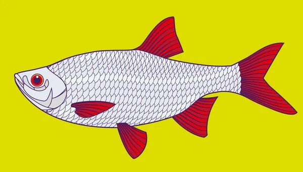 Ilustração do vetor de peixe — Vetor de Stock