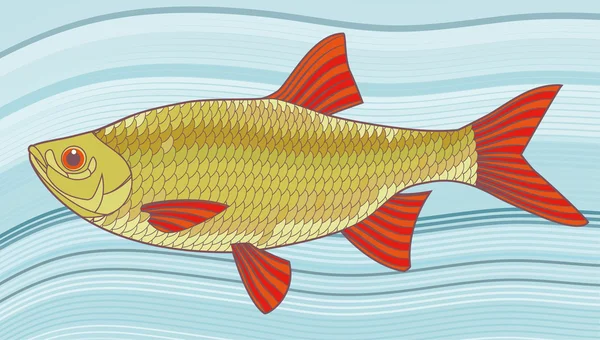 Peces sobre fondo vectorial ilustración — Vector de stock