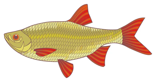 Ilustración vectorial de peces — Vector de stock