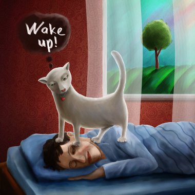 kedi uyuyan adam sabah doğuşu