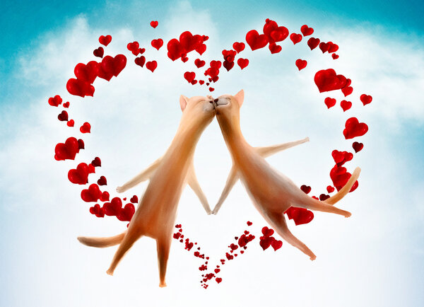 Valentine card. Cats with hearts in the sky — Stock Photo, Image