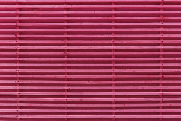 Ροζ πηχακιών φυσικό σκηνικό μοτίβο τοίχο — Φωτογραφία Αρχείου