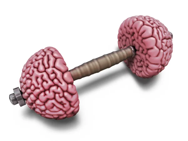 Ilustração do treinamento cerebral — Fotografia de Stock