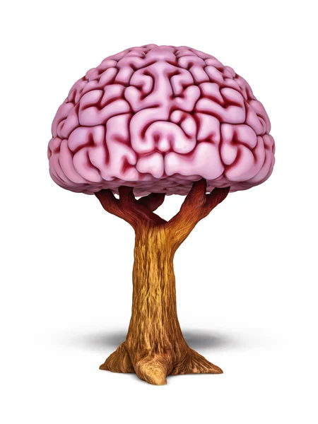 大脑树图 — 图库照片