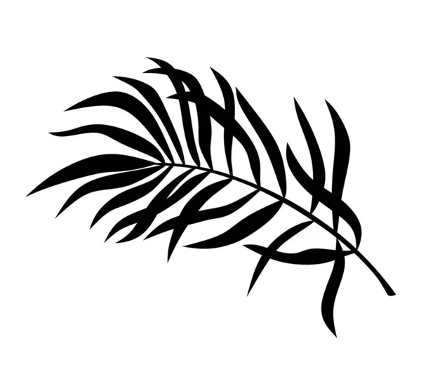 Palm Tree Leaf Black Silhouette Vector Drawing Tropical Lascia Ombra — Vettoriale Stock