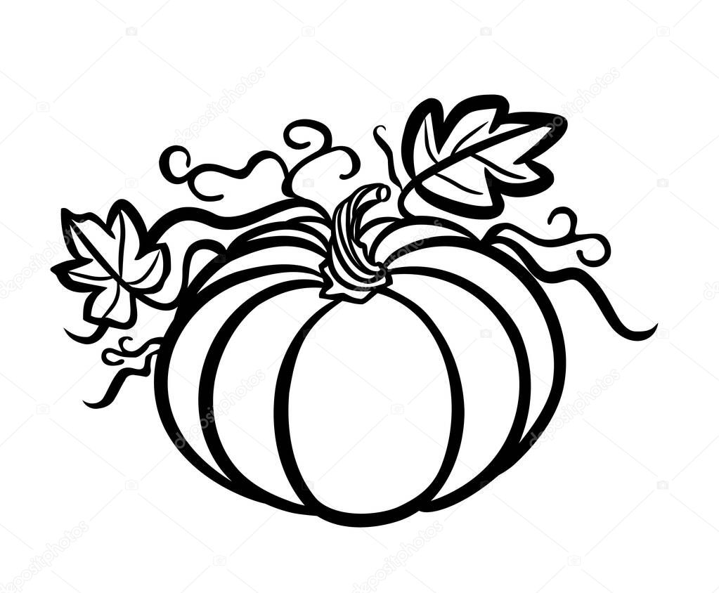Black pumpkin vector silhouette outline stencil with leaves and stem.Hello Fall.Symbol of October Harvest festival.Halloween.Autumn.Line art contour drawing.Cricut plotter laser cut.Print.Sticker.DIY