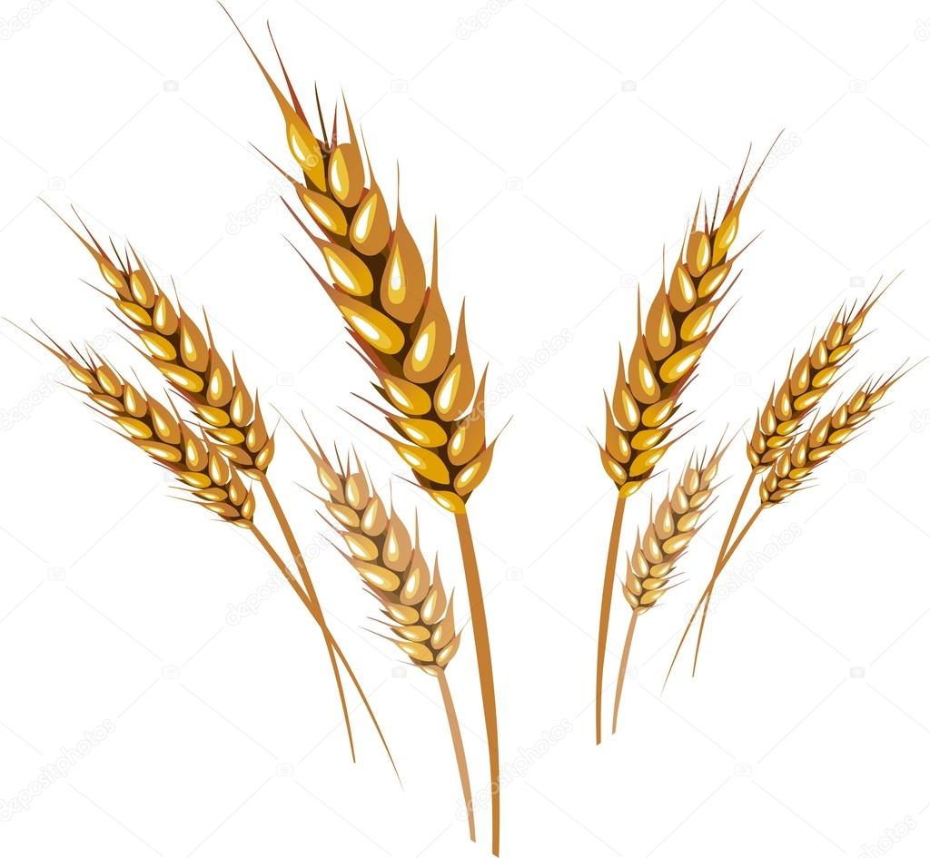 Wheats