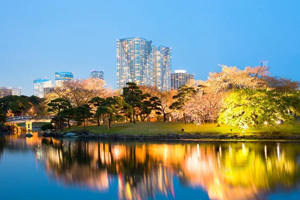 Hamarikyu bahçeleri