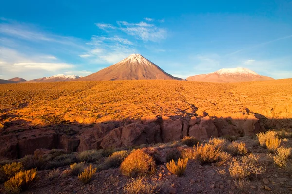 Vulcão licancabur — Fotografia de Stock