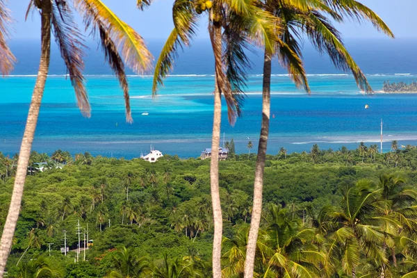 Isola di San Andres — Foto Stock