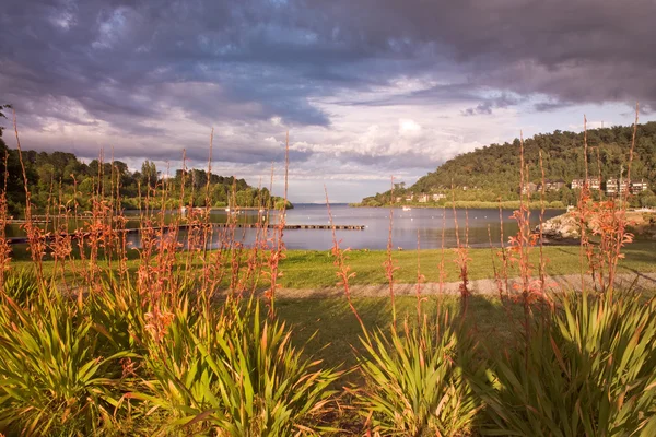Lake Villarrica — Stock Photo, Image