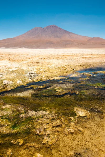 Salar Ascotan Στην Έρημο Atacama Στη Βόρεια Χιλή — Φωτογραφία Αρχείου