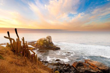 Punta de Lobos 'taki Cliff Pichilemu, VI Bölgesi, Şili