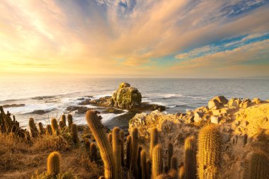 Punta de Lobos 'taki Cliff Pichilemu, VI Bölgesi, Şili
