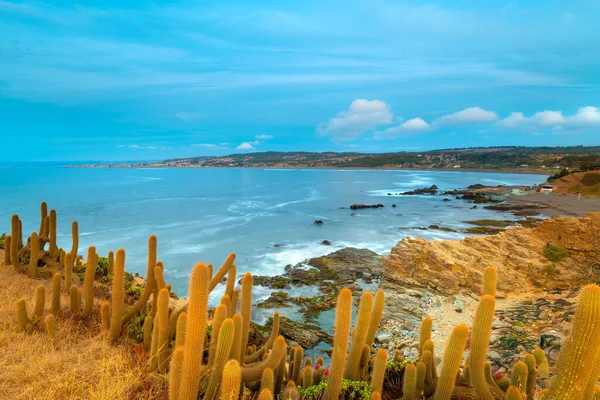 Scogliera Punta Lobos Con Città Pichilemu Alle Spalle Regione Cile — Foto Stock