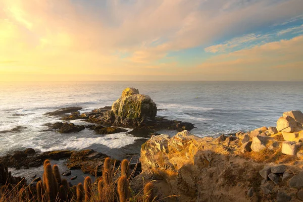 Scogliera Punta Lobos Pichilemu Regione Cile — Foto Stock