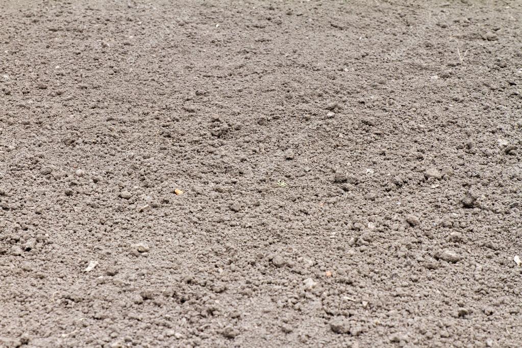 The soil is black earth Stock Photo by ©amefanov 30261923