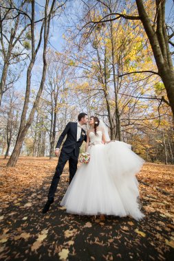 Yeni evli çift sonbahar Park'ta poz